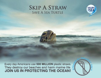 National Skip the Straw Day - How to Reduce Straw Use and Plastic Pollution