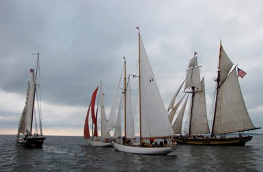 Chesapeake great schooner race