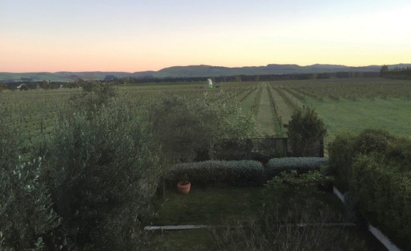 Waipara Winds Vineyard