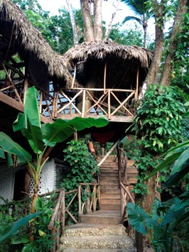 Dominican Tree House