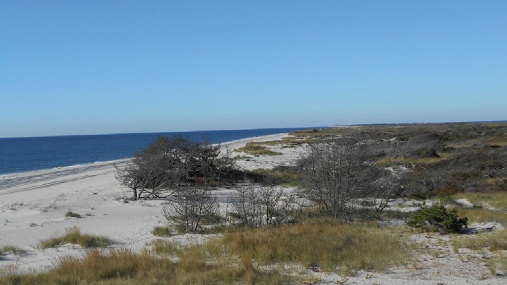 The Great South Bay, Long Island