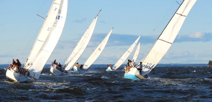 Alzheimers Regatta