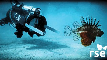 Lionfish Guardian