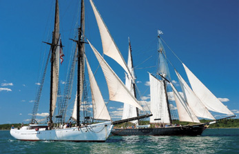 https://windcheckmagazine.com/app/uploads/2019/01/black_dog_tall_ships-1.jpg