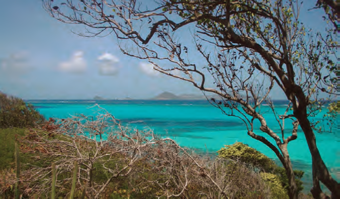 A view of the Tobago Cays from a small hill on Baradel © Nancy Kaull