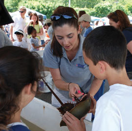 Jessica Cavanaugh, an educator at The WaterFront Center, shows a horseshoe crab to young Bay Day attendees.
