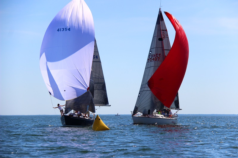 ecsa leukemia cup