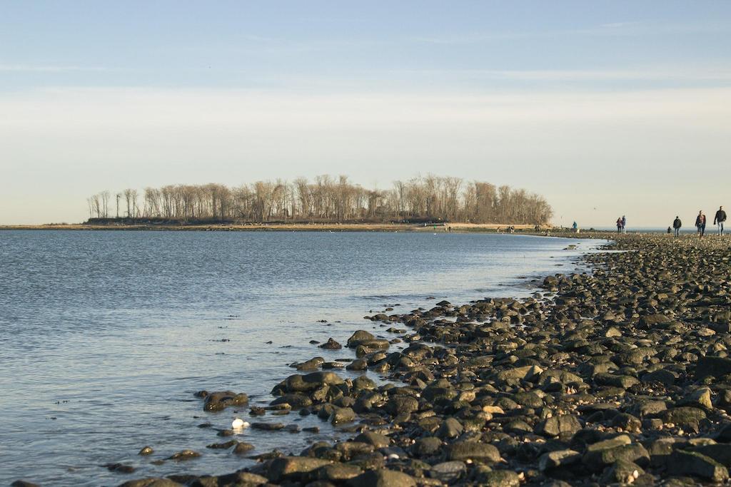 Restoration of Long Island Sound: Progress Made and Challenges Ahead