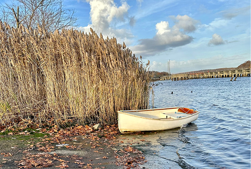 Enjoyment of Cape Dory Boats and Community